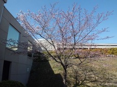 j2017.4.11 1.jpg